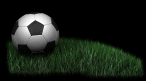 Sport Image